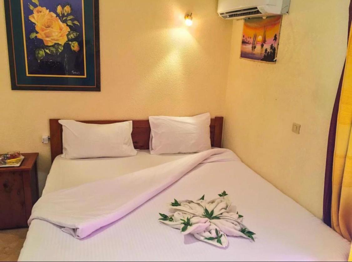 Golden Europe Hotel Дахаб Екстериор снимка